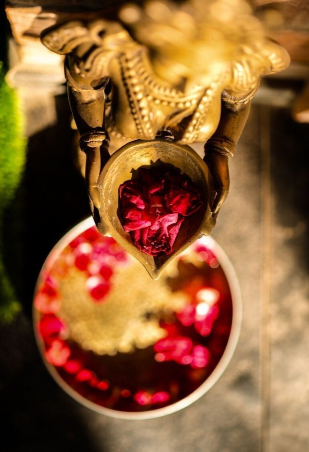 digidaftar arkretreat e1770120953499